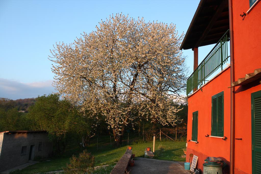 La Finestra Sul Lago Ronciglione Kültér fotó